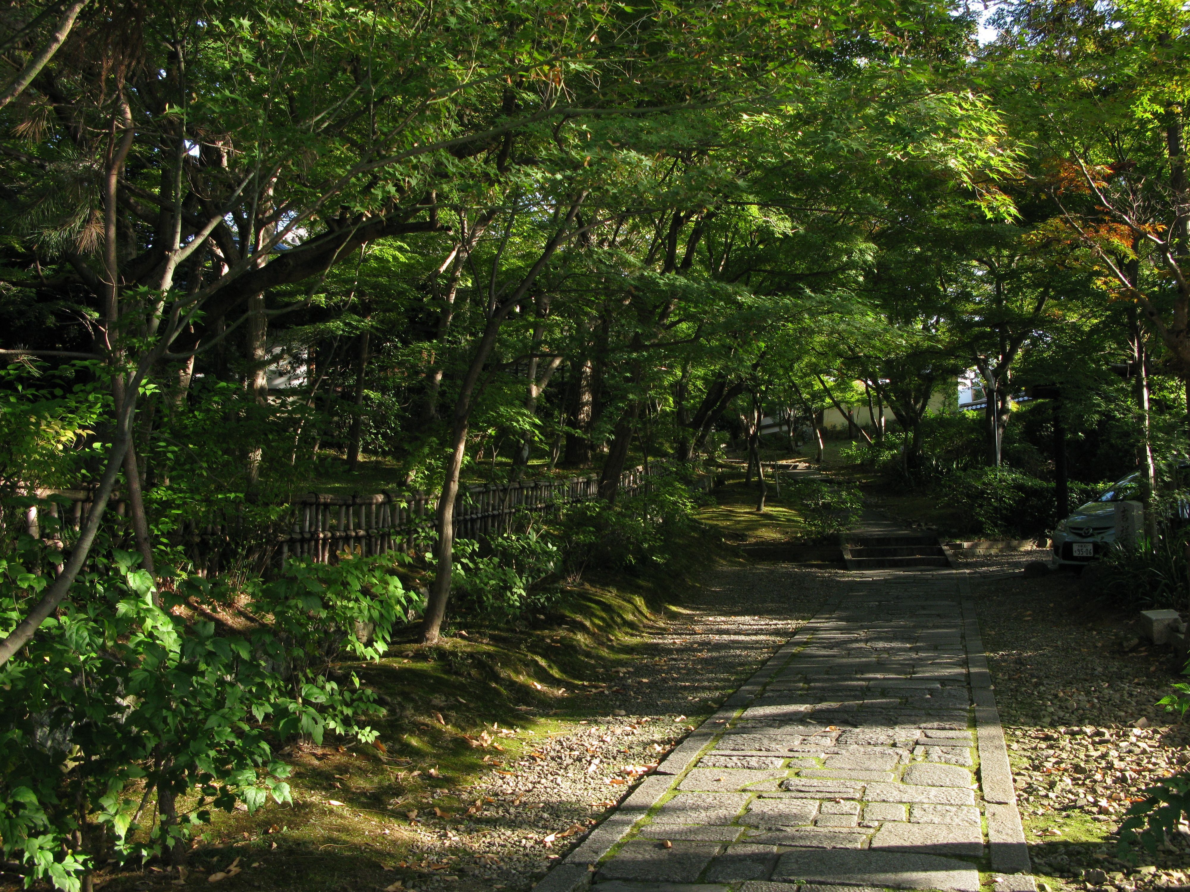 nice-is-kyoto-in-a-walk-330